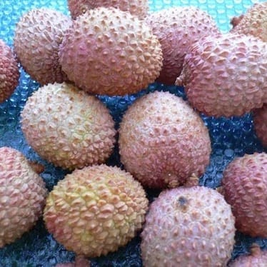 photo de Litchi